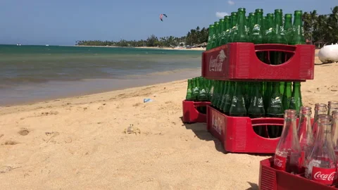 Crab Sidling on beach in Las Terrenas, Dominican Republic 動画素材 196299735