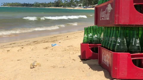 Crab Sidling on beach in Las Terrenas, Dominican Republic 動画素材 196299758