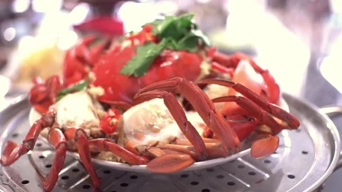 Crab into steamer Stock Footage