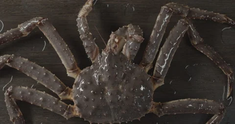 The crab is on the table Stock Footage 146386025