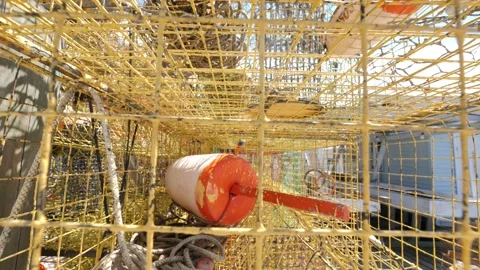Crab Trap, close-up, tilt down, Tangier Island, VA. Stock Footage 199805537