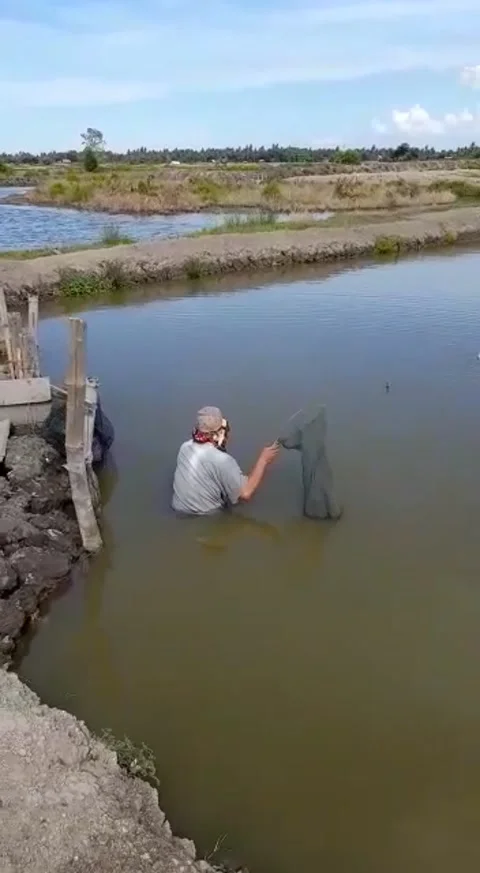 Crab trap Stock Footage 205040925