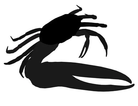 Crab vector art, graphics crabs icon, vintage illustration crab clipart, Stock Illustration