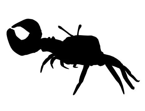 Crab vector art, graphics crabs icon, vintage illustration crab clipart, Stock Illustration