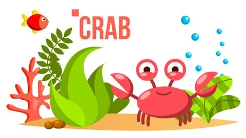 Crab Vector. Sea, Ocean Bottom With Seaweed And Fish. Isolated Flat Cartoon Ilustración de archivo