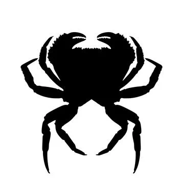 Crab vector silhouette illustration isolated. Stock Illustration