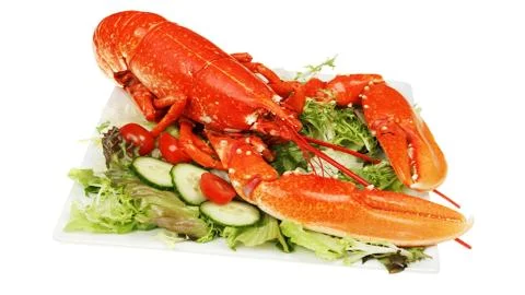 Crab on a vegetable pillow. Stock Photos