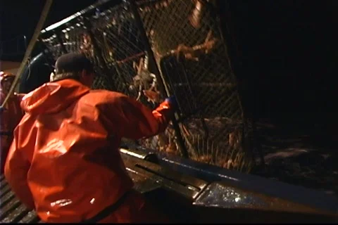 Crabbers pull a large crab-pot aboard their vessel. Видео 552602