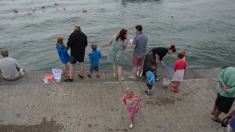 Crabbing Stock Footage 148639553