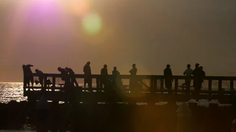 Crabbing at Sunset on Dock (slow motion) Stock Footage 41005999