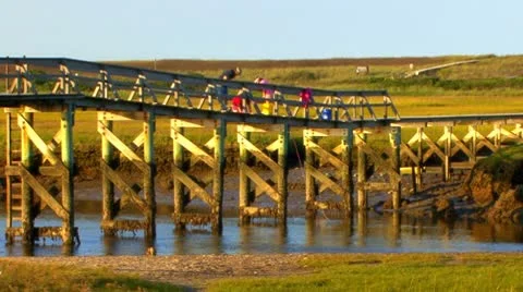 Crabs at the Boardwalk Stock Footage 8922283