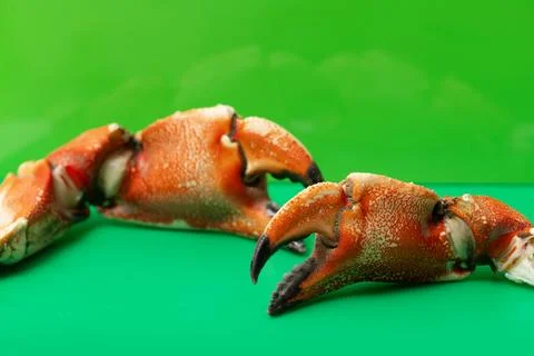 Crabs claws macro close up texture. Crabs claws gourmet vibrant concept. Crab Stock Photos