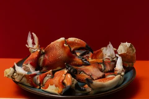 Crabs claws vibrant macro background. Crabs claws cracked shell texture. Cr.. Stock Photos
