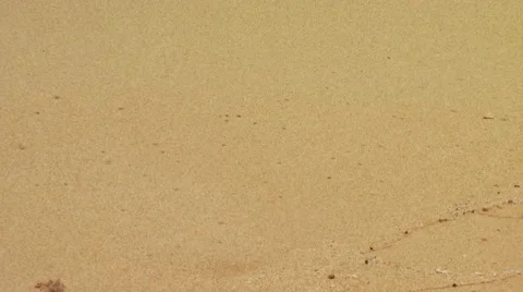 Crabs crawling on sand Stock Footage 54592575
