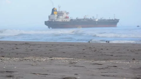 Crabs in the foreground Stock-Footage 144144886