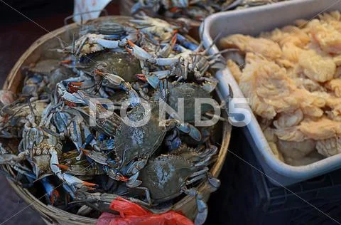 Crabs in NYC Chinatown Stock Photos