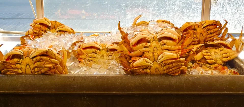 Crabs Stock-Fotos