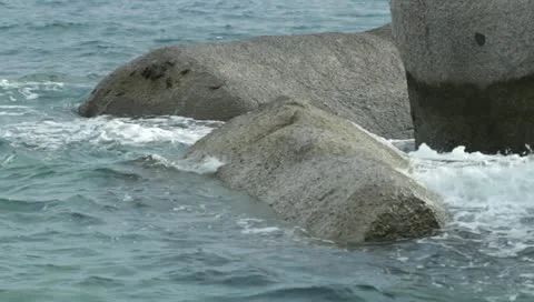 Crabs on a rock Stock Footage 11096128