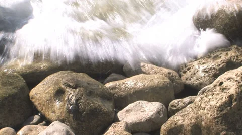 Crabs On Rocks Stock Footage 31981381