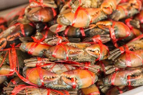 Crabs in seafood markrt Stock Photos