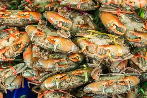 Crabs in seafood markrt Stock Photos