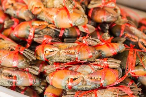 Crabs in seafood markrt Stock Photos
