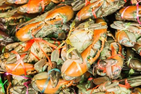 Crabs in seafood markrt Stock Photos