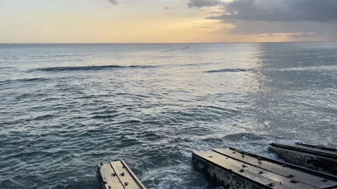 Crabs Sunbathing On A Barbados Jetty At Sunset Stock Footage 310202710