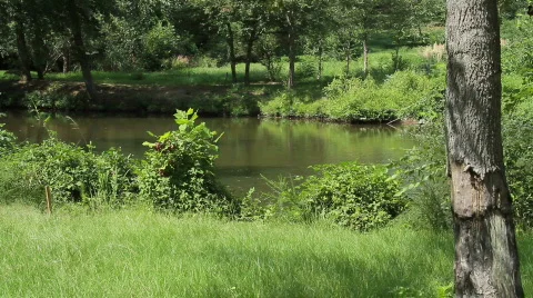 Crabtree Creek Stock Footage 855849