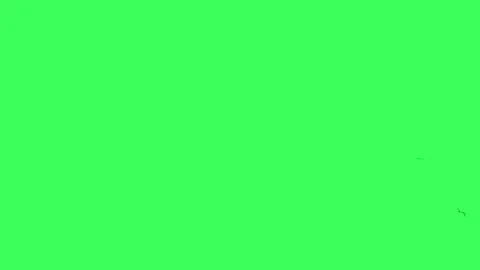 Crack animations Stock Footage 276330889