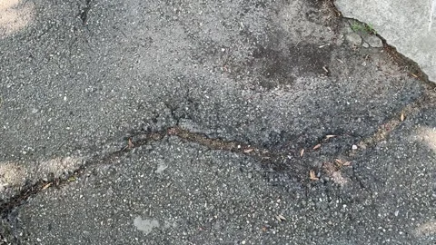 Crack in the asphalt close up Stock Footage 286367208