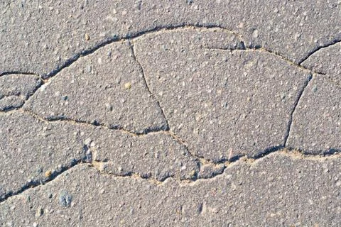 The crack in the asphalt Stock Photos