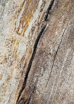 Crack in a Bare Log Stock Photos