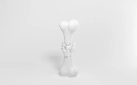 Crack bone isolated on white background, 3d rendering. イラスト素材