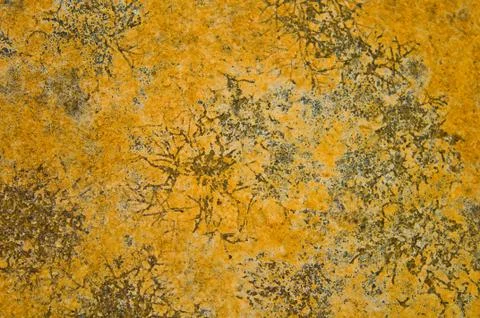 The crack on cement ground Stock Photos
