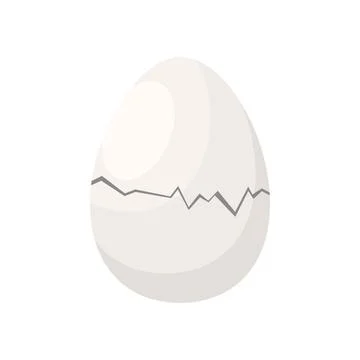 Crack, damage and break on hens white egg when incubator chick born Stock Illustration