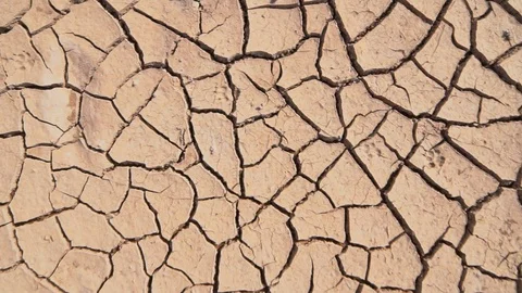 Crack earth in arid area Stock Footage