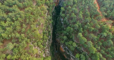 Crack of the Earth Inside the Forest Top Aerial View Stock Footage 147068321
