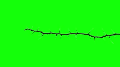 Crack in floor extending 스톡 동영상 301064596