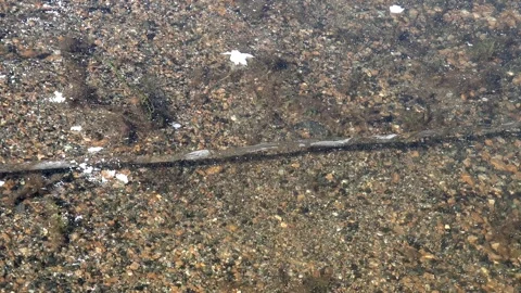 Crack forming in thick transparent lake ice - Melting Surface and Season Change Stock Footage 339698088