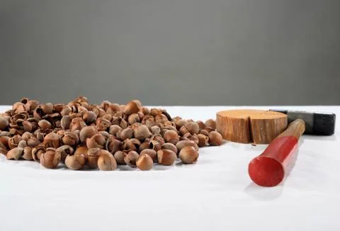 Crack hazelnuts with a hammer on the white table 写真素材