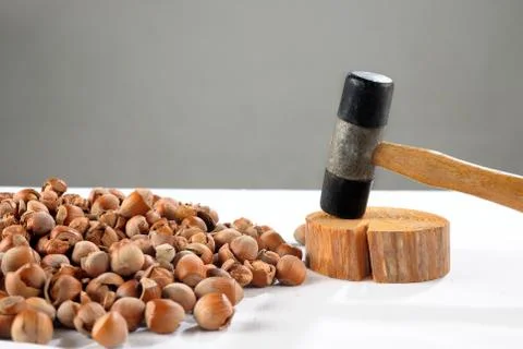 Crack hazelnuts with a hammer on the white table Stock-Fotos