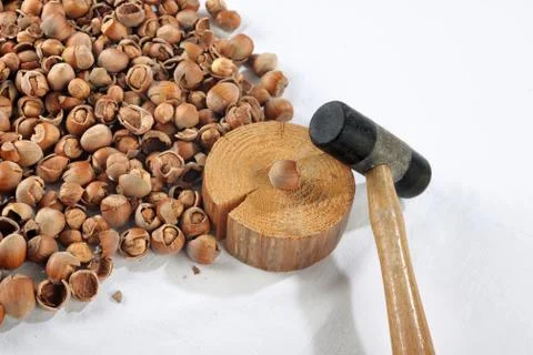 Crack hazelnuts with a hammer on the white table Stock-Fotos