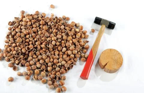 Crack hazelnuts with a hammer on the white table Stockfoto's