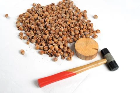 Crack hazelnuts with a hammer on the white table Stock Photos