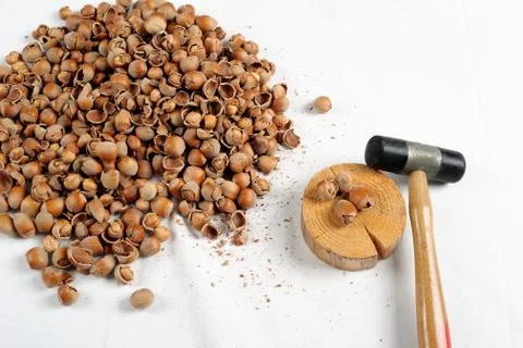Crack hazelnuts with a hammer on the white table Stock-Fotos
