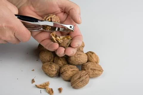 Crack the Nuts Foto stock