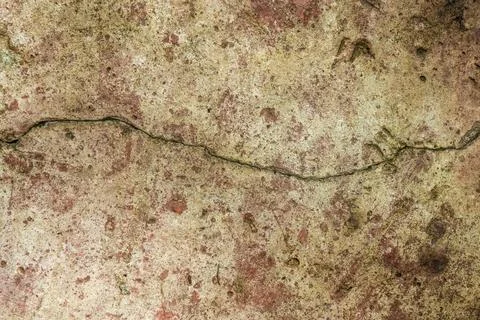 A crack on an old ceramic tile with traces of lichen and moss, in a farmhouse Foto stock