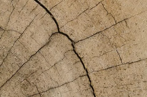 Crack on old wood for pattern Stock Photos