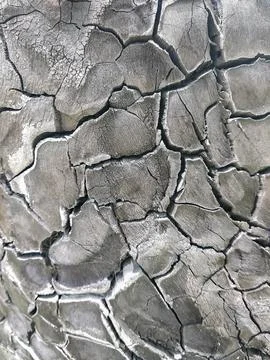 Crack pattern on burnt stump Stock Photos